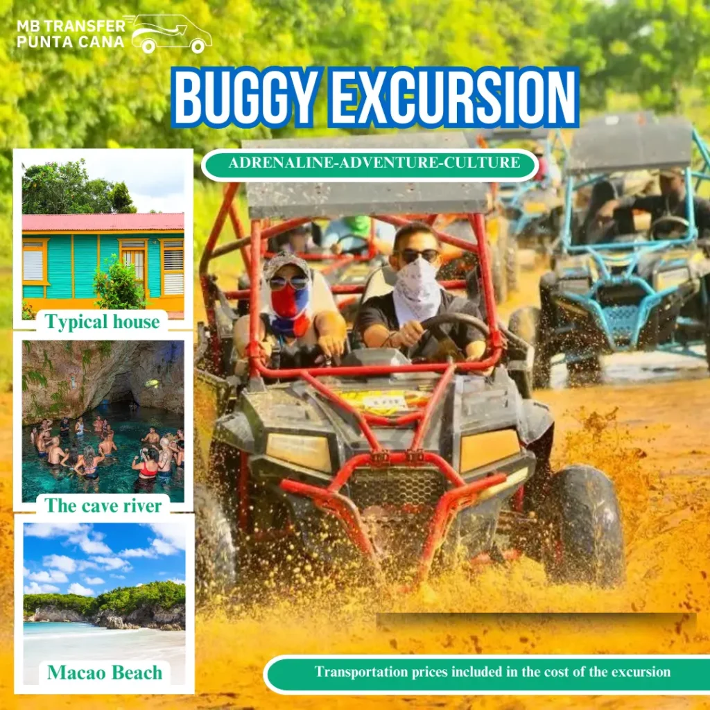 buggy excursion